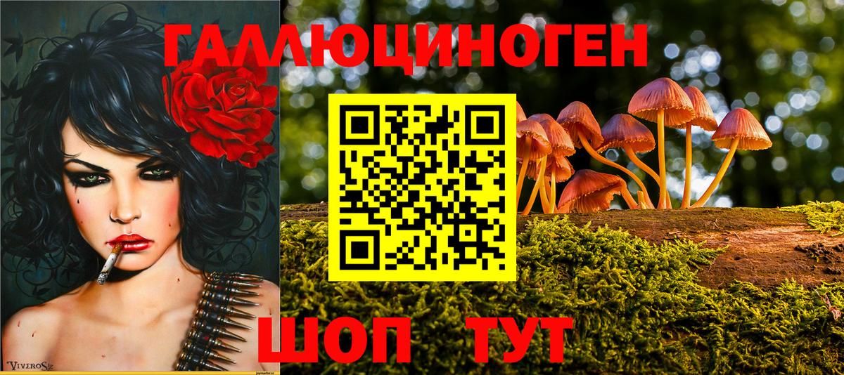 Псилоцибиновые грибы мицелий Ирбит