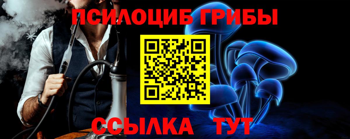 Галлюциногенные грибы прущие грибы  Вход с VPN  Ирбит 
